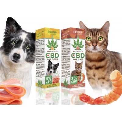 CBD Öl für Hunde und Katzen